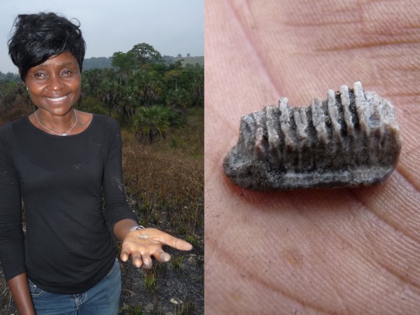 16 Nicole Kitambala Yaya (CRGM) showing a fossil Myliobatis ray tooth just discovered
