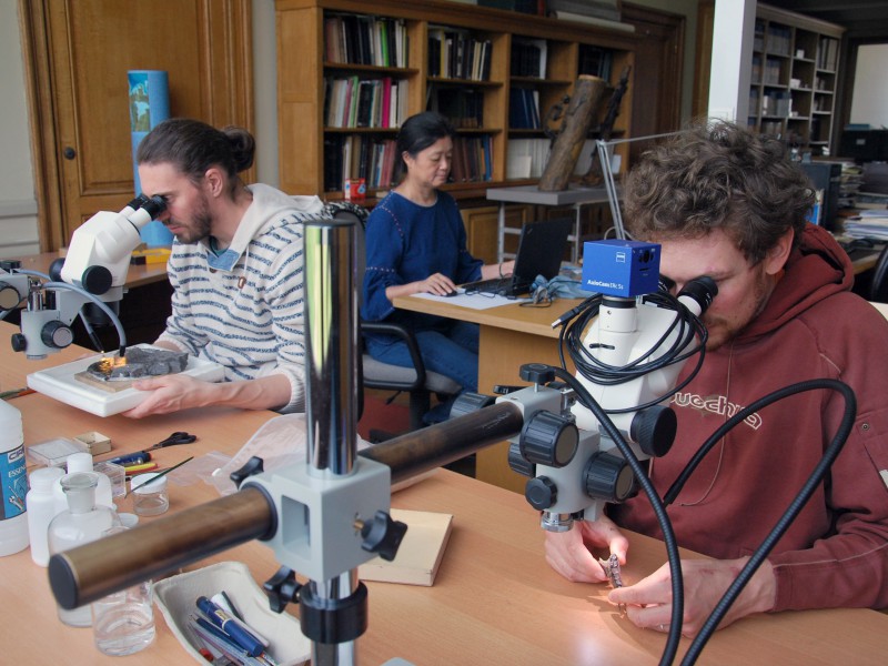 07 Study of fossils from India by researchers Floréal Solé (left), Eric De Bast (right), and collaborator Haiyan Tong (back)