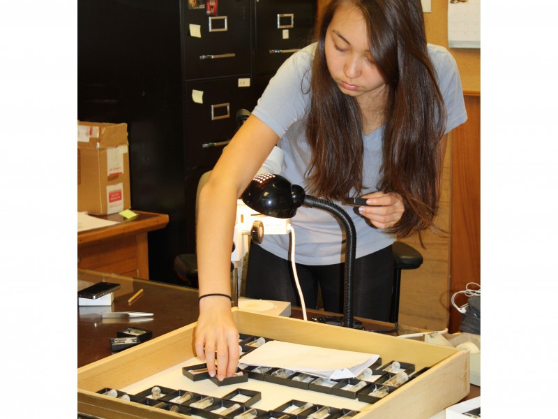 03 Duke University work-study student Isabelle Clark organizing DFP collections