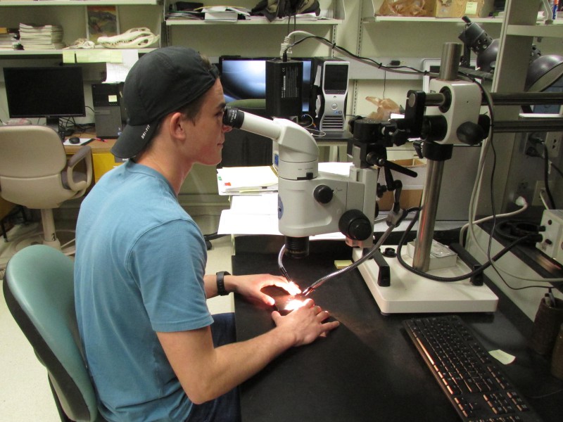 05 Undergraduate researcher Will Stevens at digital microscopy