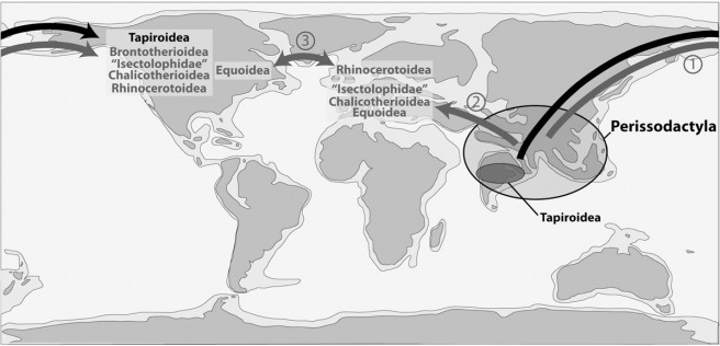 Schematic map showing the geographic dispersal of the early perissodactyls. 1: dispersal via the Bering land bridge; 2: dispersal via land connections across the Turgai Strait and/or along the Tethysian shore; 3: dispersal via the Greenland land bridge