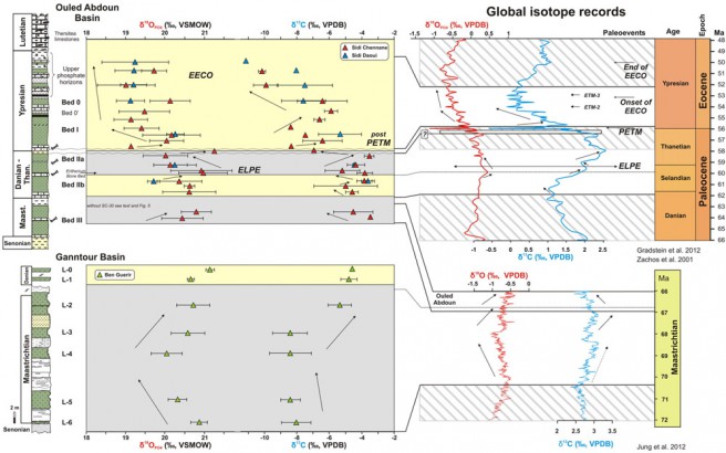 Integrated phosphate oxygen (δ18OPO4) and carbon δ13C (dentine) isotope data from the Ouled Abdoun and Ganntour basins and their comparison to the global record