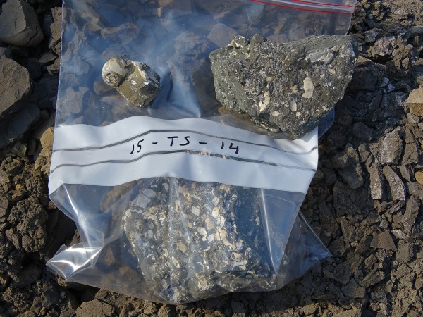 08 A sample collected for isotope and microfossil analyses