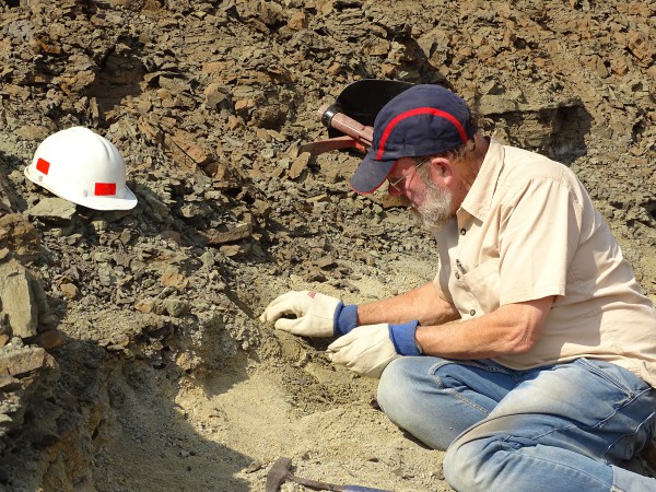 03 Ken Rose (Johns Hopkins Univ.) has located a fossil layer