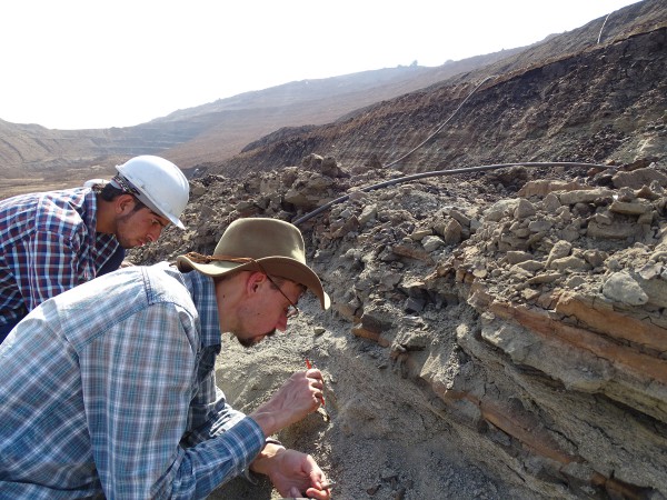 06 Thierry Smith (RBINS, right) prepares a jaw fragment discovered by Satich (Garhwal Univ., left)