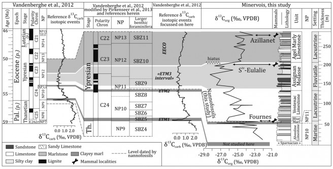 Correlation of the organic carbon (δ13Corg) isotope curve of the Minervois  with the standard marine composite bulk carbonate (δ13Ccarb) isotope curve of the Ypresian and with the calcareous nannofossil and larger benthic foraminiferal zones. Black bone indicates mammalian localities; Nannofossils: biostratigraphic control (calcareous nannofossil dating); Pal. = Paleocene; p. = pars.