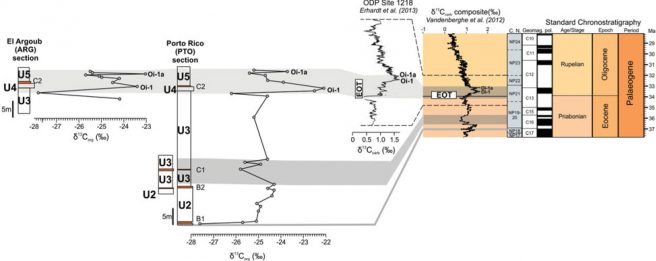 Carbon isotope values (‰ VPDB) of the Porto Rico and El Argoub sections, compared to δ13C curves around the Eocene–Oligocene transition at ODP Site 1218 (Erhardt, Pälike & Paytan, 2013) and reference δ13C composite curve (Cramer et al. 2009; modified by Vandenberghe, Hilgen & Speijer, 2012). EOT – Eocene–Oligocene Transition; U1–U5 – lithological units defined in the text; B1, B2, C1, C2 – fossil-bearing levels