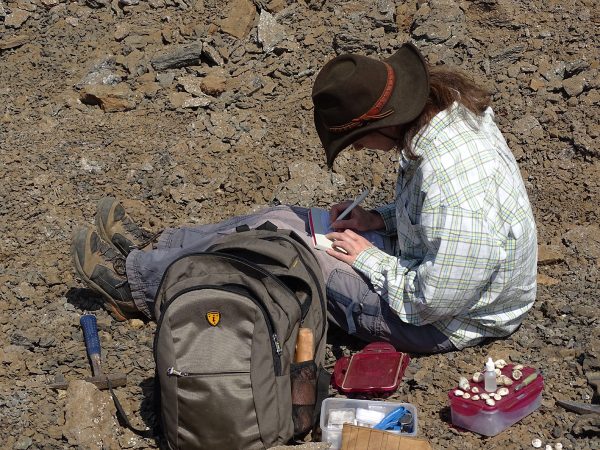 08 Annelise Folie takes notes of the location of each specimen discovered before digitization in databasis