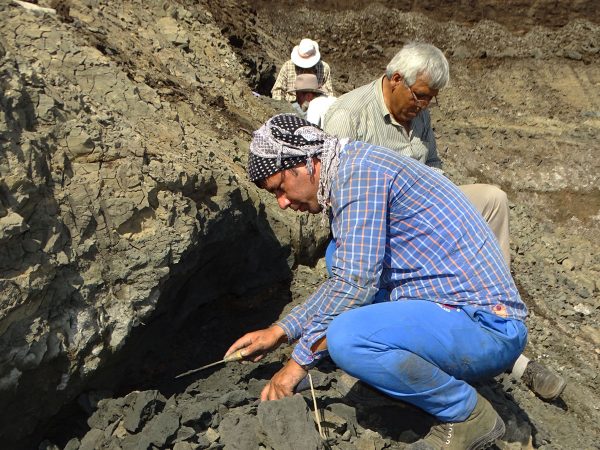 10 Waqas Mirza (front) and Rajendra Rana (back) find a very thin layer with vertebrate remains