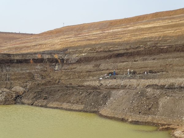 01 Sector of the mine where paleontologists relocated the channel excavated in 2015