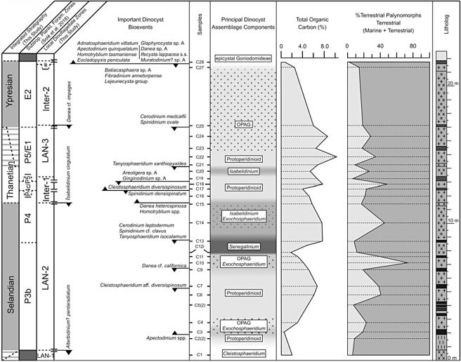 Landana stratigraphy, selected important dinoflagellate cyst bioevents and overall dinoflagellate cyst assemblage shifts next to total organic carbon (TOC) and %TP value changes